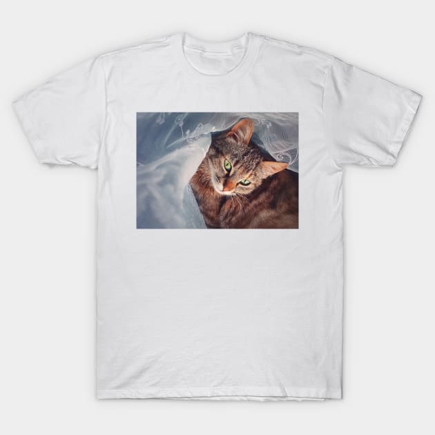 Pregnant cat hiding T-Shirt by psychoshadow